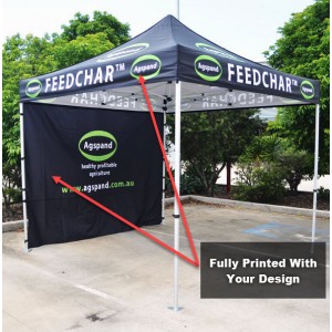 3x3 Printed Canopy and Back Wall With Frame